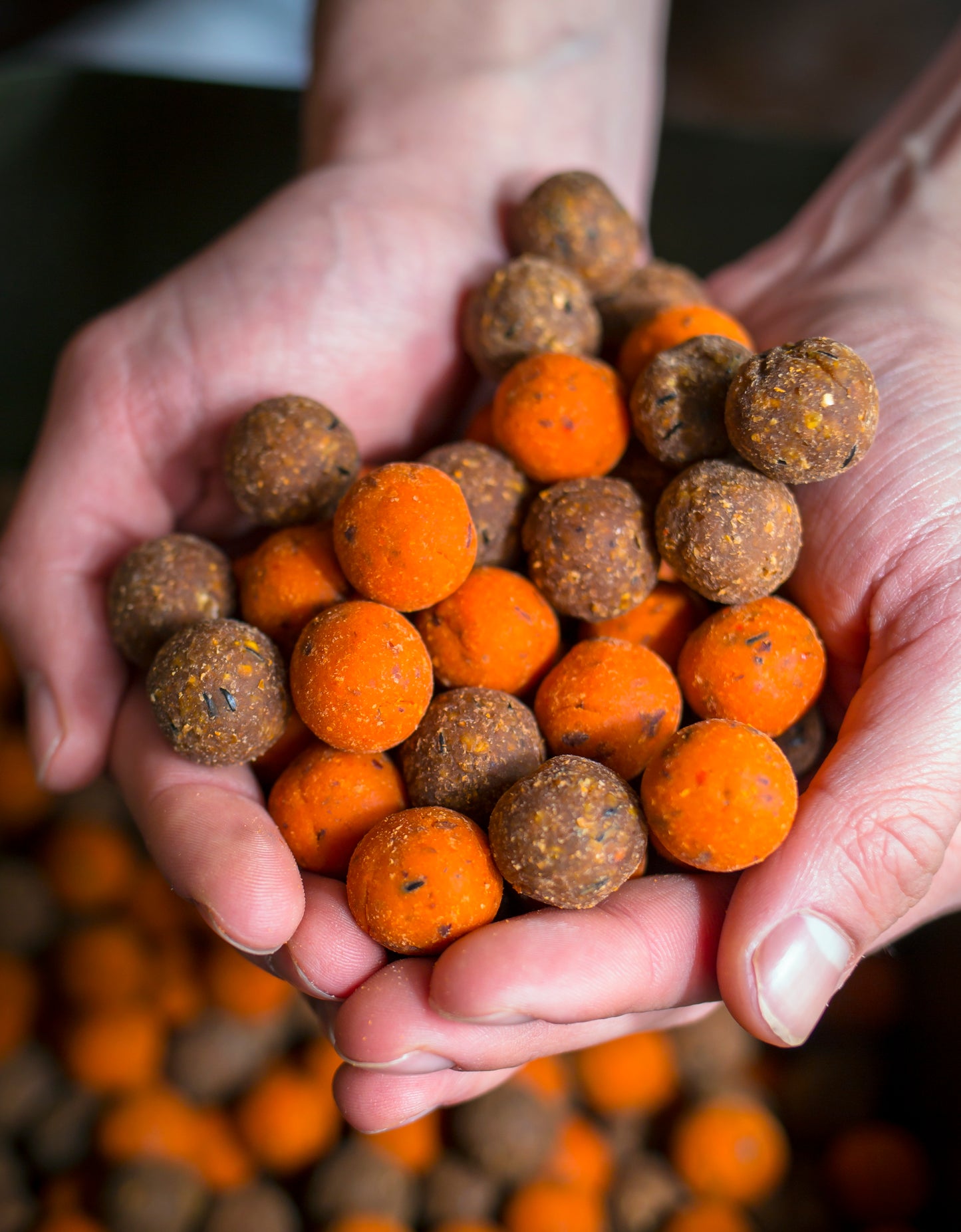 Hakbaits 50/50 Bulk Pakketdeal