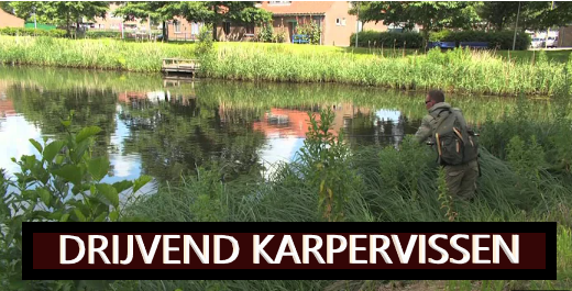 Load video: Video over drijvend karpervissen